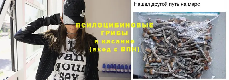 OMG ссылки  маркетплейс клад  Галлюциногенные грибы MAGIC MUSHROOMS  Верещагино 